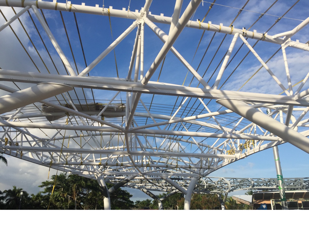 Zoo Miami Cloud Canopy | Florida, USA